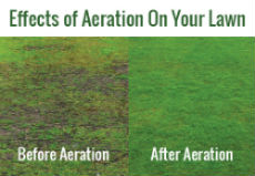 Aeration and Dethatching