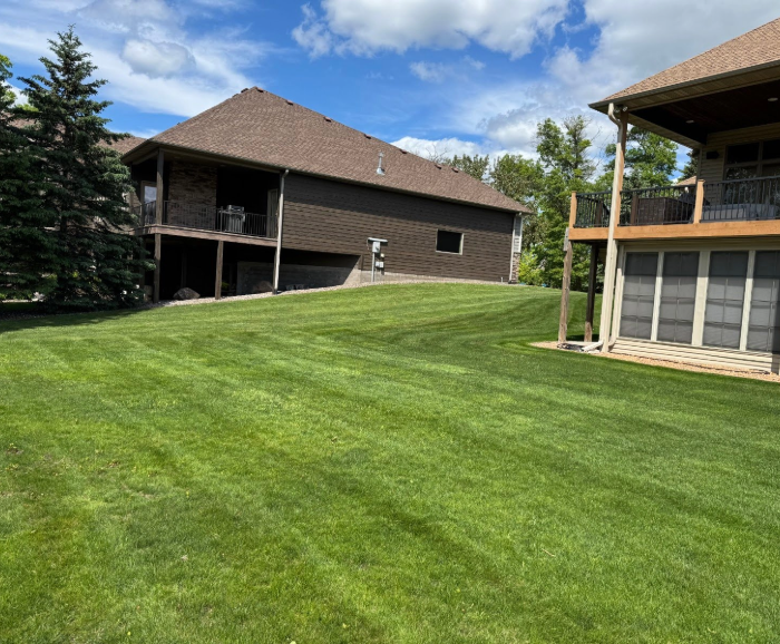 Backyard beautiful lawn