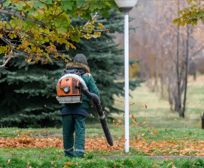 Blowing off leafs during fall season