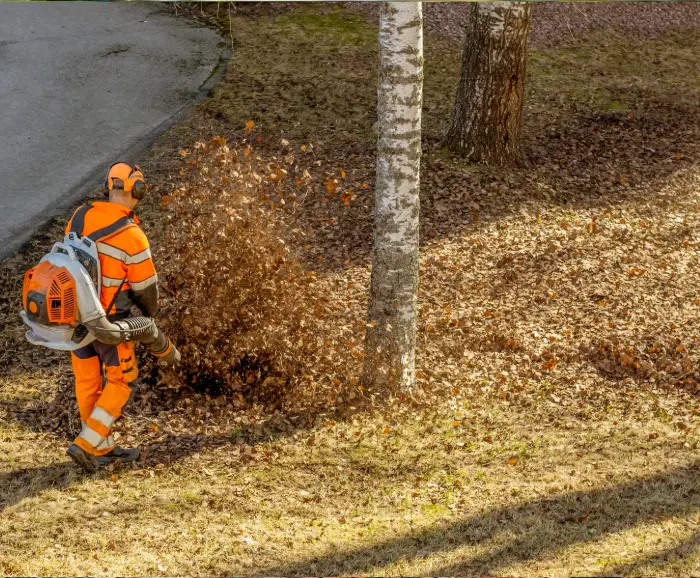 Fall Clean Up with gas blower