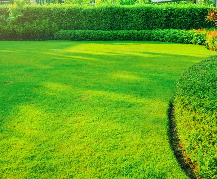 Lawn Care Services in Blaine MN