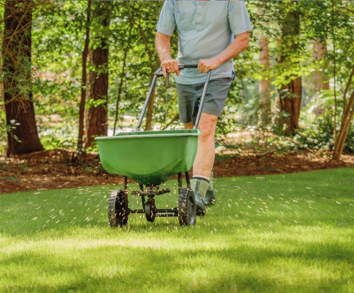 seeding with scotts spreader